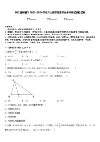 浙江省东阳市2023-2024学年八上数学期末学业水平测试模拟试题含答案