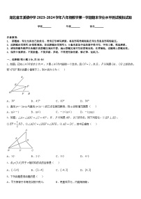 湖北省丰溪镇中学2023-2024学年八年级数学第一学期期末学业水平测试模拟试题含答案