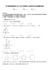 浙江省杭州市临安区2023-2024学年数学八上期末学业水平测试模拟试题含答案