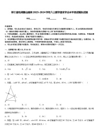 浙江省杭州萧山回澜2023-2024学年八上数学期末学业水平测试模拟试题含答案