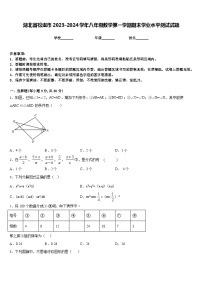 湖北省松滋市2023-2024学年八年级数学第一学期期末学业水平测试试题含答案