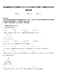 湖北省襄阳市老河口市第四中学2023-2024学年数学八年级第一学期期末学业水平测试模拟试题含答案