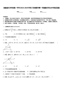 湖南省长沙市铁路一中学2023-2024学年八年级数学第一学期期末学业水平测试试题含答案