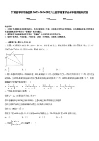 甘肃省平凉市崇信县2023-2024学年八上数学期末学业水平测试模拟试题含答案