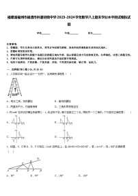 福建省福州市福清市林厝初级中学2023-2024学年数学八上期末学业水平测试模拟试题含答案