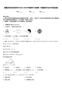 西藏拉萨北京实验中学2023-2024学年数学八年级第一学期期末学业水平测试试题含答案