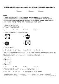 贵州省黔东南州麻江县2023-2024学年数学八年级第一学期期末质量跟踪监视试题含答案