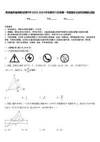 贵州省黔南州瓮安四中学2023-2024学年数学八年级第一学期期末达标检测模拟试题含答案