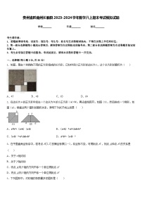 贵州省黔南州长顺县2023-2024学年数学八上期末考试模拟试题含答案