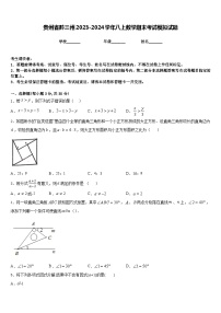 贵州省黔三州2023-2024学年八上数学期末考试模拟试题含答案