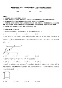 贵州省织金县2023-2024学年数学八上期末学业质量监测试题含答案