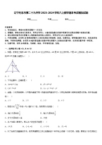 辽宁丹东市第二十九中学2023-2024学年八上数学期末考试模拟试题含答案