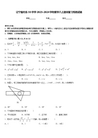 辽宁省丹东33中学2023-2024学年数学八上期末复习检测试题含答案