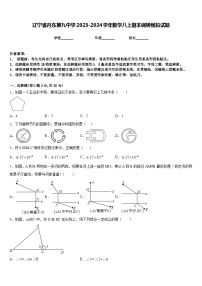 辽宁省丹东第九中学2023-2024学年数学八上期末调研模拟试题含答案