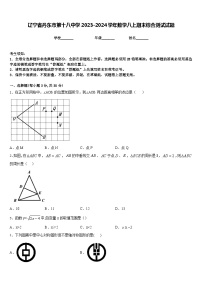 辽宁省丹东市第十八中学2023-2024学年数学八上期末综合测试试题含答案