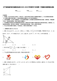 辽宁省抚顺市新宾满族自治县2023-2024学年数学八年级第一学期期末调研模拟试题含答案