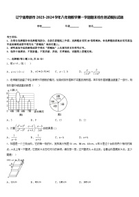 辽宁省阜新市2023-2024学年八年级数学第一学期期末综合测试模拟试题含答案