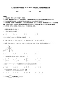 辽宁省沈阳市实验北2023-2024学年数学八上期末预测试题含答案