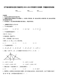 辽宁省沈阳市东北育才双语学校2023-2024学年数学八年级第一学期期末统考试题含答案