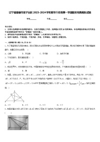 辽宁省盘锦市双子台区2023-2024学年数学八年级第一学期期末经典模拟试题含答案