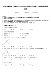 辽宁省盘锦市双台子区第四中学2023-2024学年数学八年级第一学期期末达标检测模拟试题含答案