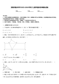 资阳市重点中学2023-2024学年八上数学期末统考模拟试题含答案