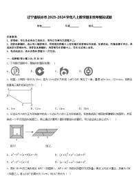 辽宁省铁岭市2023-2024学年八上数学期末统考模拟试题含答案