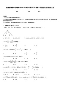 陕西省渭南市合阳县2023-2024学年数学八年级第一学期期末复习检测试题含答案