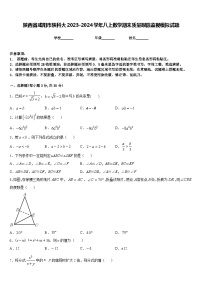 陕西省咸阳市陕科大2023-2024学年八上数学期末质量跟踪监视模拟试题含答案