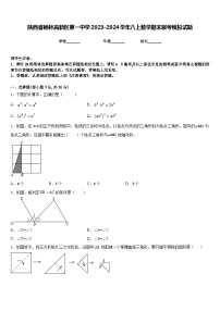 陕西省榆林高新区第一中学2023-2024学年八上数学期末联考模拟试题含答案