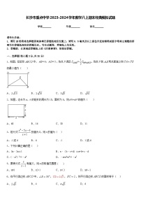 长沙市重点中学2023-2024学年数学八上期末经典模拟试题含答案