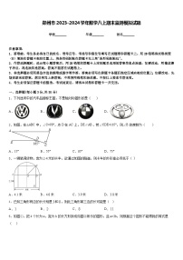 郑州市2023-2024学年数学八上期末监测模拟试题含答案