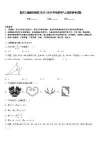 重庆江南新区联盟2023-2024学年数学八上期末联考试题含答案