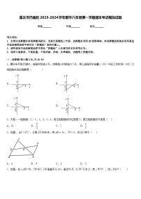 重庆市巴南区2023-2024学年数学八年级第一学期期末考试模拟试题含答案