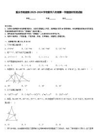 重庆市铜梁县2023-2024学年数学八年级第一学期期末检测试题含答案