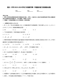 重庆一中学2023-2024学年八年级数学第一学期期末复习检测模拟试题含答案