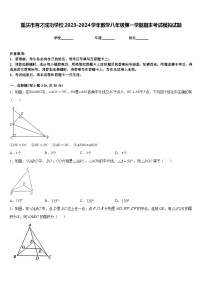 重庆市育才成功学校2023-2024学年数学八年级第一学期期末考试模拟试题含答案