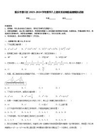 重庆市綦江区2023-2024学年数学八上期末质量跟踪监视模拟试题含答案