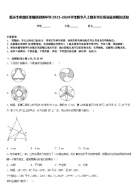 重庆市荣昌区荣隆镇初级中学2023-2024学年数学八上期末学业质量监测模拟试题含答案