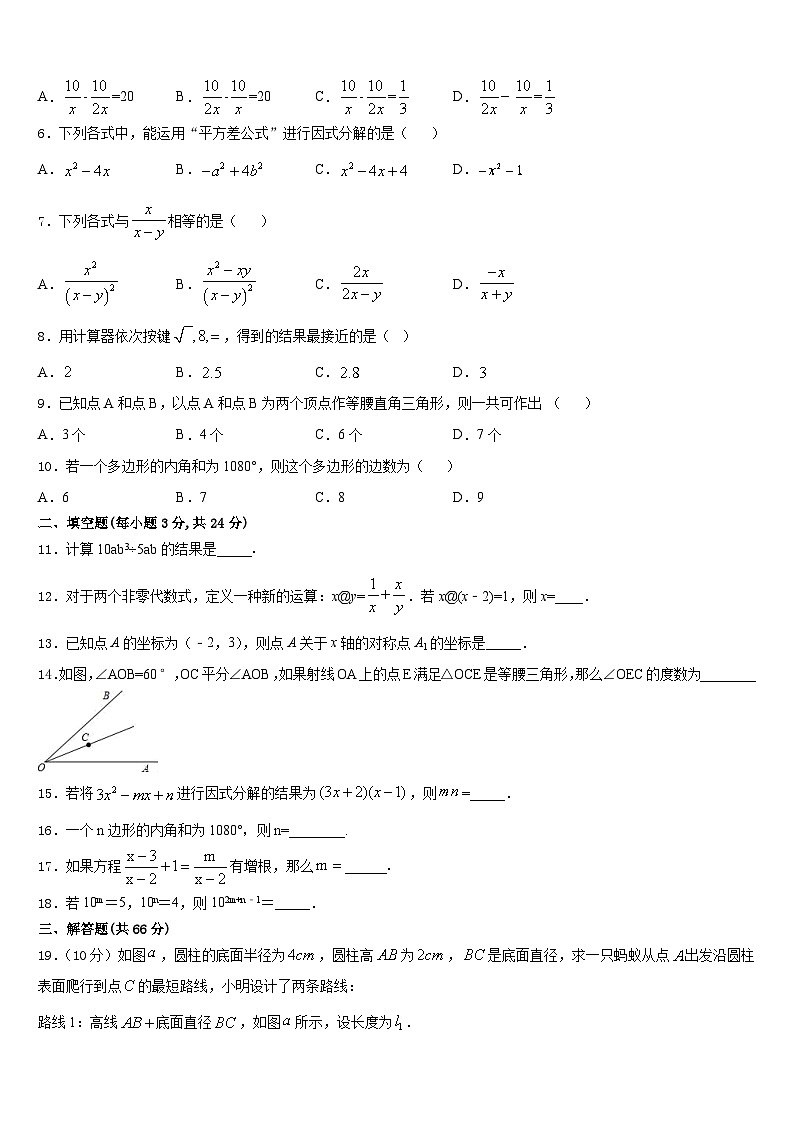 重庆市万州国本中学2023-2024学年八上数学期末质量检测模拟试题含答案02
