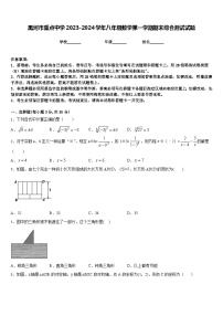 黑河市重点中学2023-2024学年八年级数学第一学期期末综合测试试题含答案