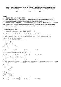 黑龙江省安达市四平中学2023-2024学年八年级数学第一学期期末检测试题含答案