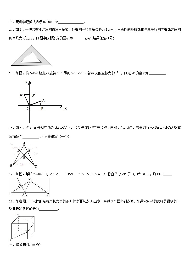 黑龙江省八五八农场学校2023-2024学年数学八上期末调研模拟试题含答案第3页