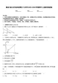 黑龙江省大庆市龙凤区第五十七中学2023-2024学年数学八上期末检测试题含答案