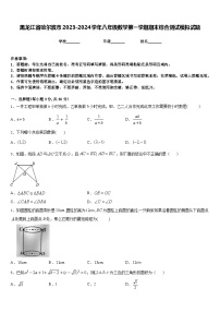 黑龙江省哈尔滨市2023-2024学年八年级数学第一学期期末综合测试模拟试题含答案