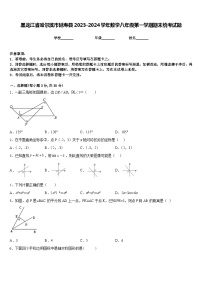 黑龙江省哈尔滨市延寿县2023-2024学年数学八年级第一学期期末统考试题含答案