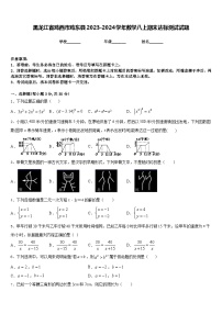 黑龙江省鸡西市鸡东县2023-2024学年数学八上期末达标测试试题含答案