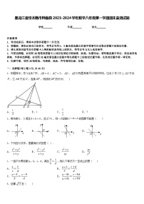 黑龙江省佳木斯市桦南县2023-2024学年数学八年级第一学期期末监测试题含答案