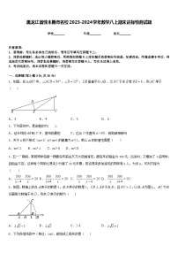 黑龙江省佳木斯市名校2023-2024学年数学八上期末达标检测试题含答案