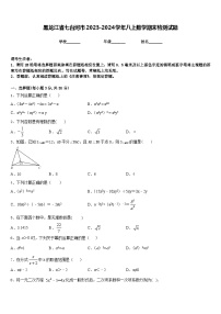 黑龙江省七台河市2023-2024学年八上数学期末检测试题含答案